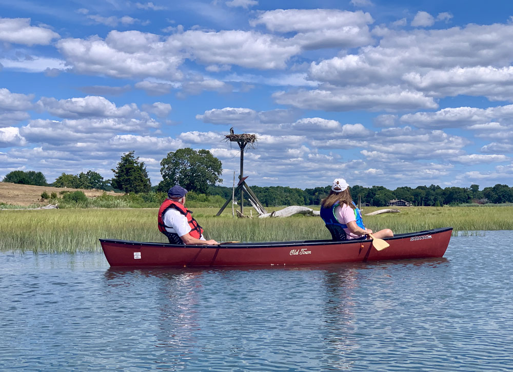 Two people canoing and observing an osprey nest platform