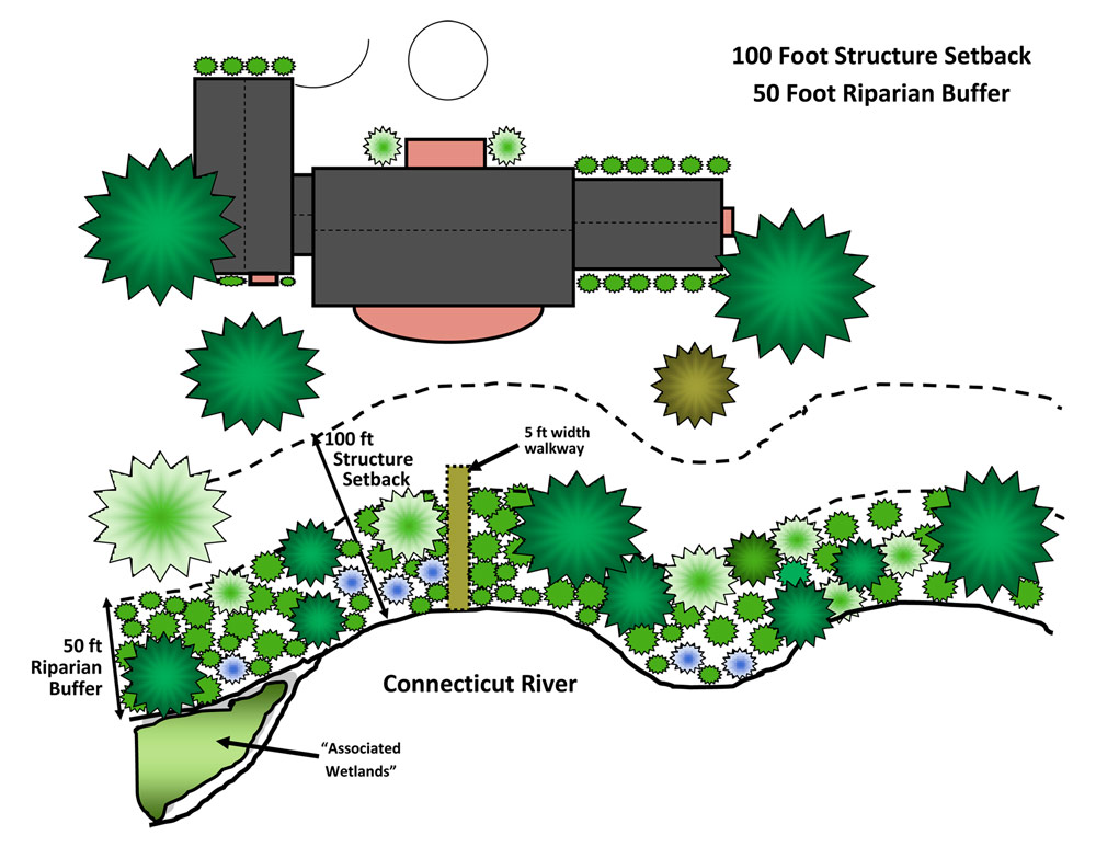 graphic of an aerial view of home setback and riparian buffer